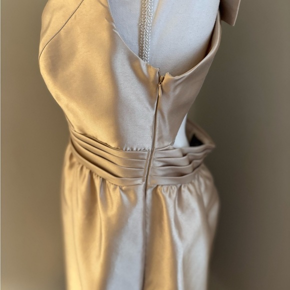 Backless Adrianna Papell, champagne, formal dress. Gorgeous. size 12 - Picture 3 of 16